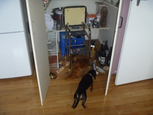 Pantry following the earthquake