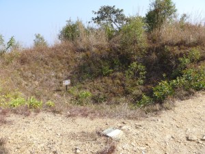 Bomb Crater at the Plain of Jars