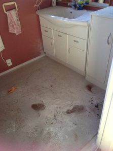 Bathroom mess 