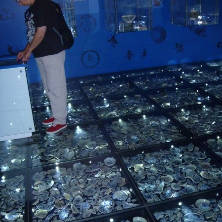 Some of the blue & white Ming Dynasty ceramics found