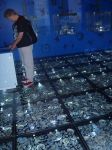 Some of the blue & white Ming Dynasty ceramics found 