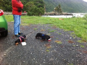 Alice and Celia dining alfresco at Kaikoura