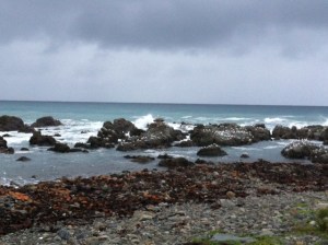 Beach just north of Kaikoura