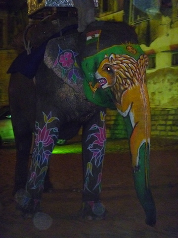 Painted elephant from a night time wedding procession