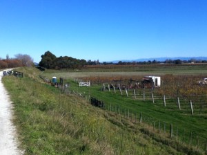The café from slightly further away
