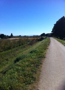 What an amazing sky!