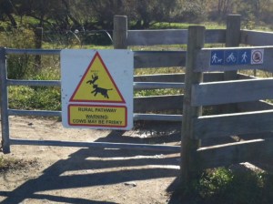 "Rural Pathway Warning Cows May be Frisky"