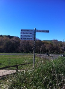 How can I get lost if there are signs?