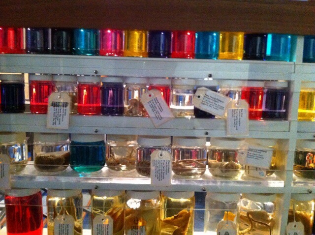Colourful things in jars in the natural history section