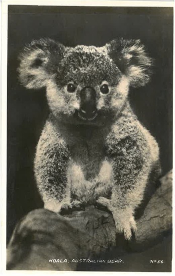 Grandad’s WWII Diary – Postcard sent from Australia - April 1941