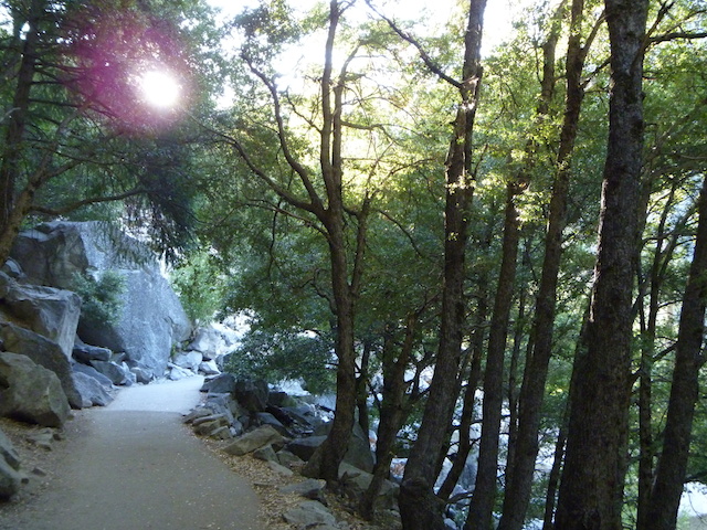 Yosemite National Park