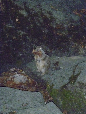 Yosemite National Park