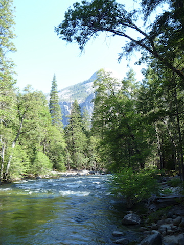 Yosemite National Park