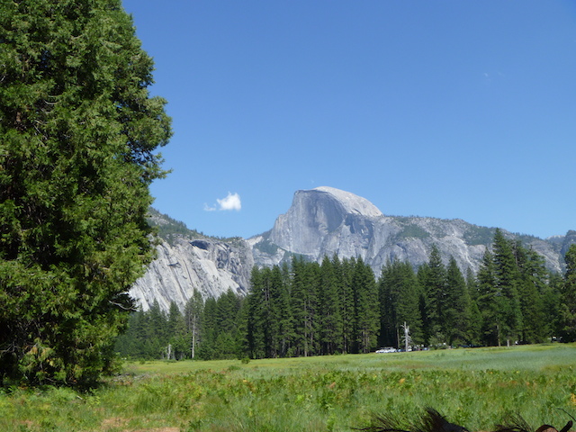 Yosemite National Park