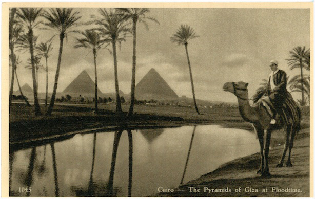 Cairo - The Pyramids of Giza at Floodtime