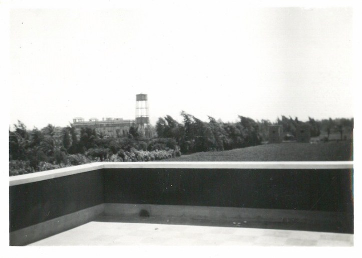 Looking towards Mena House from Sports Club - July 21 1941