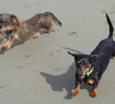 Alice (right) with Mina