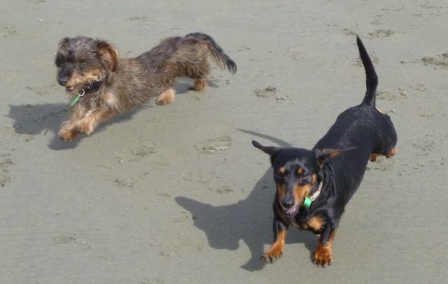 Alice (right) with Mina