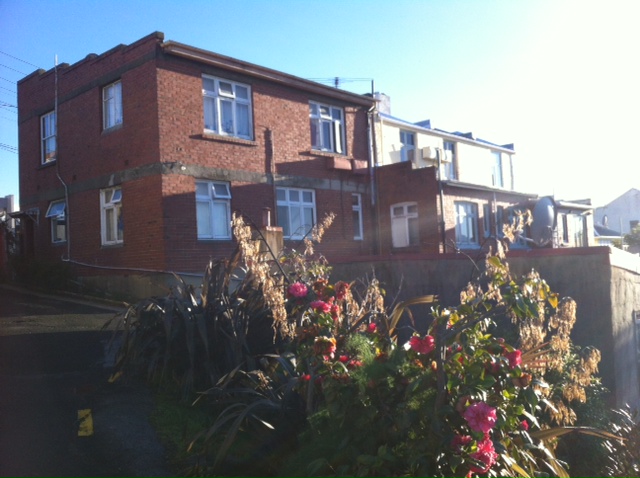 The neighbours at the unit and a splash of colour with the spring flowers