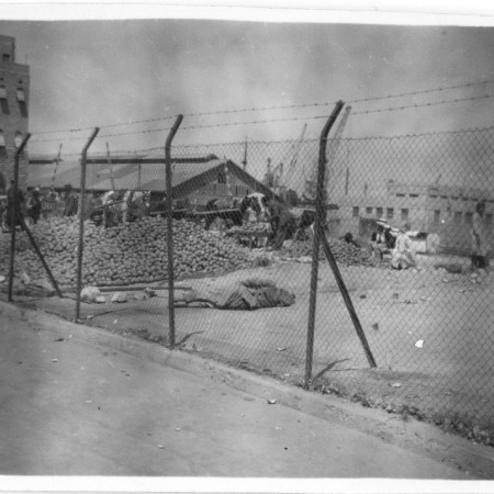 Oranges in native quarter - Haifa - On way to Syria