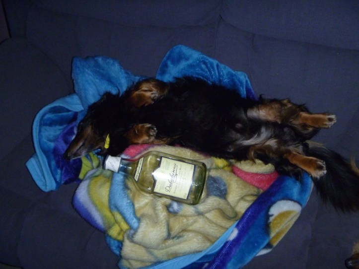 Too good a photo op to miss with the prop