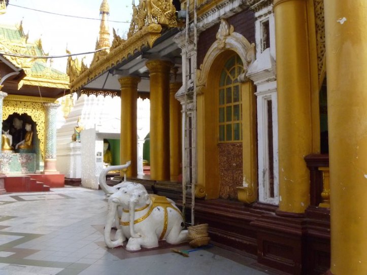 The 3 headed elephant