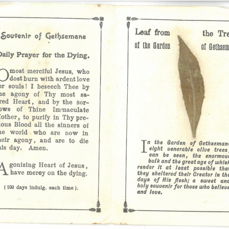 Souvenir of Gethsemane