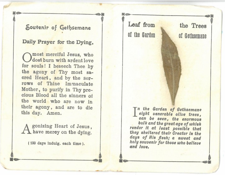 Souvenir of Gethsemane