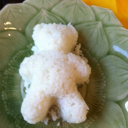 Teddy Bear Rice