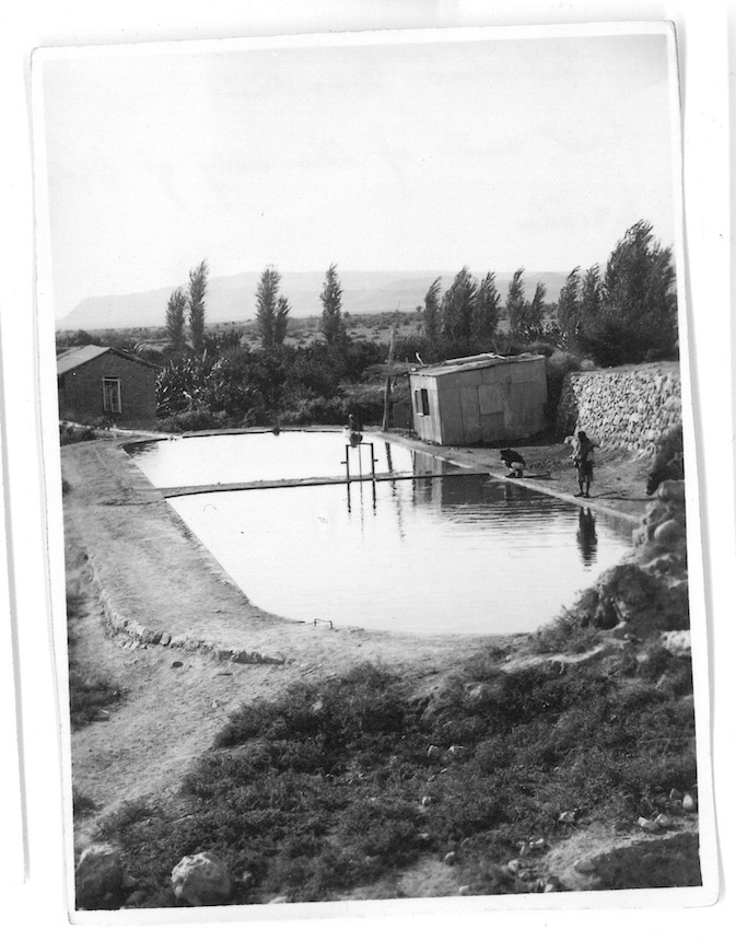 Elisha's Fountain - Last well of the city of Old Jericho - Jordan Valley - Palestine