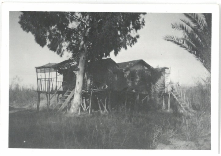 House build on sticks on shore of Jordan River - Palestine