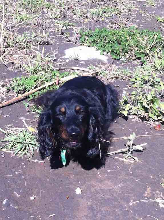 Celia enjoying some apple
