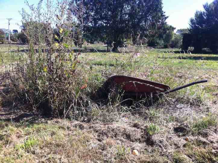 A left behind wheelbarrow