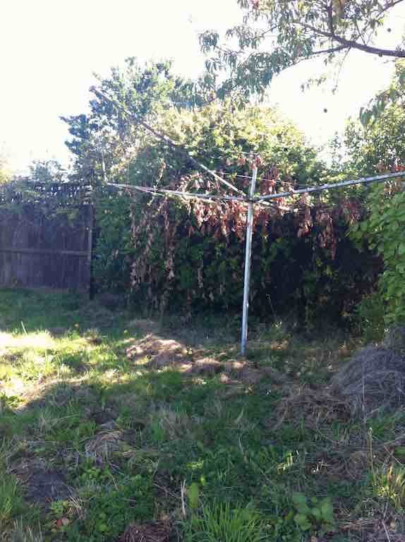 A left behind washing line