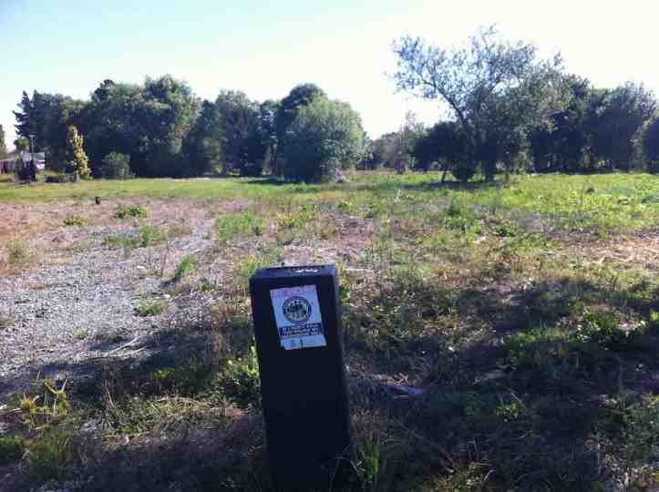 Neighbourhood Watch... not much to see now