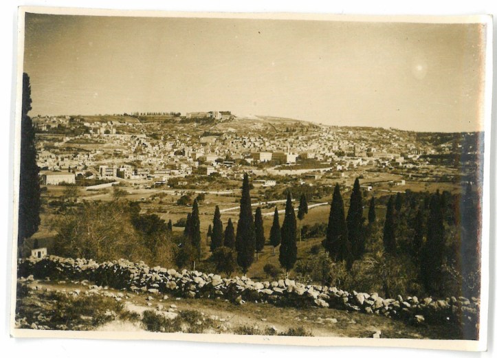General View of Nazareth showing a few of the popular trees - Nazareth