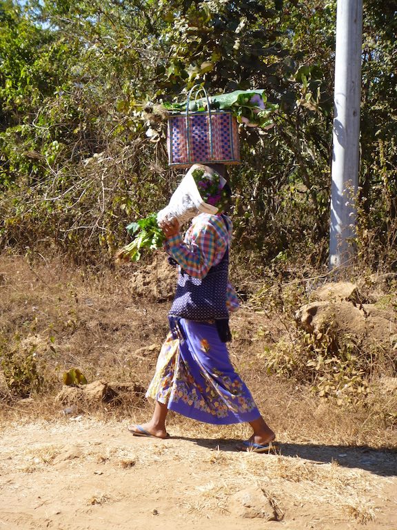 Fresh produce returning home from the market