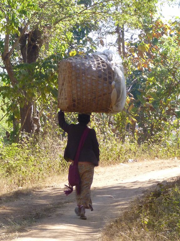 Returning from the market with produce