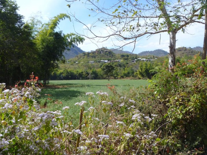 A pretty view of a field with the hills in the background
