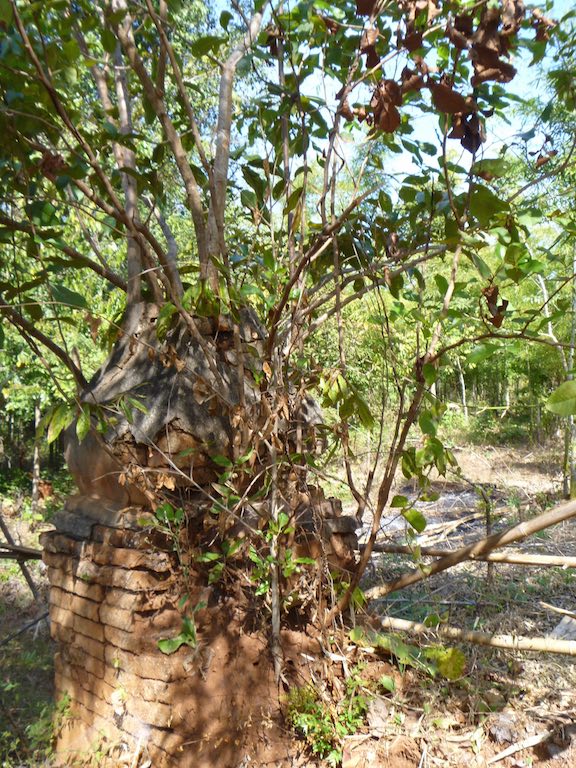 Ruins are everywhere!