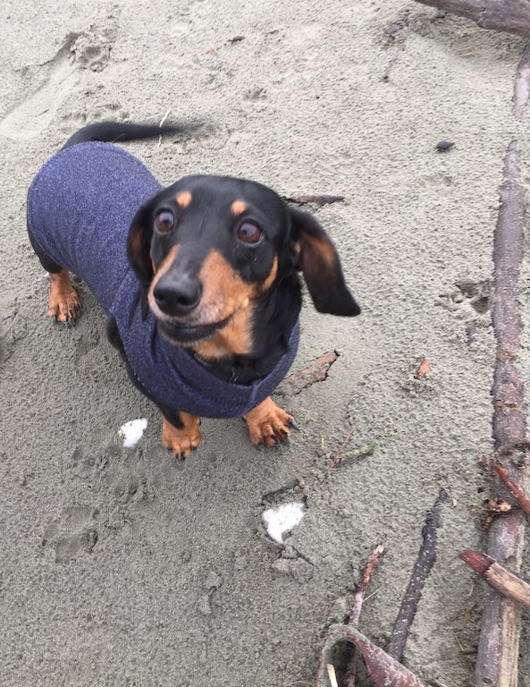 "OMG, OMG, OMG - I am so excited to be a the beach!"