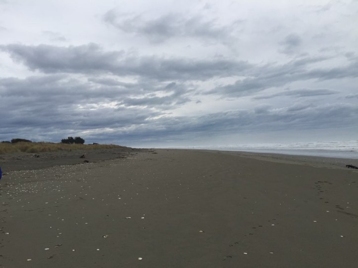 Fighting through the crowds...