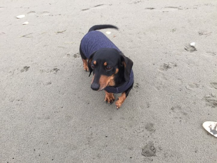 I haz sand on my toes...