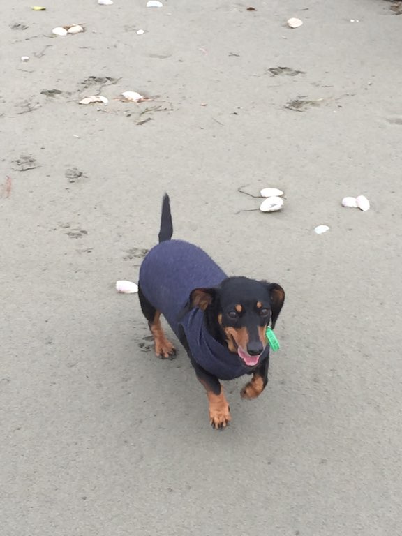 Alice enjoying a run