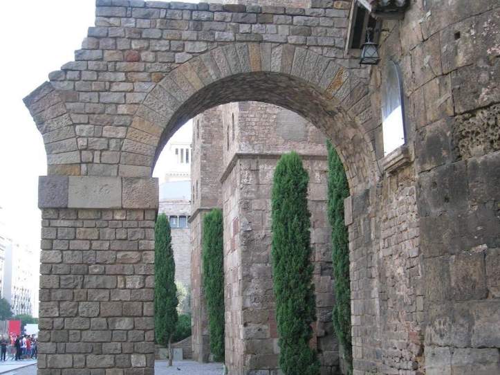 DSCN2928