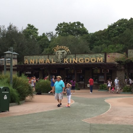Animal Kingdom