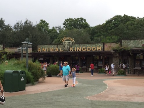 Animal Kingdom