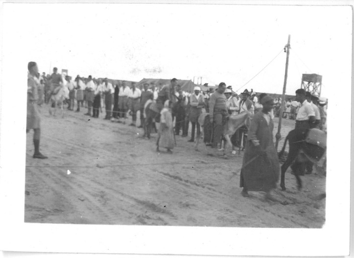 View of Gala Day - 2 General Hospital - El Ballah