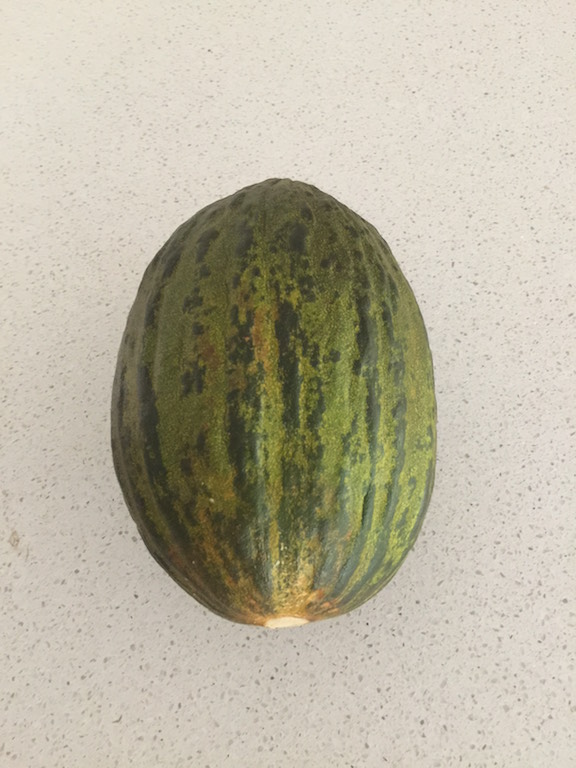 exotic-melon
